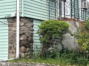 Anthony P.'s Bush Trimming service result