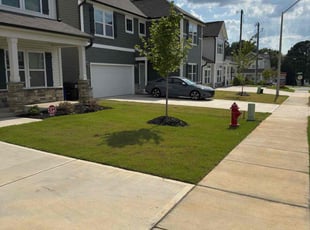 Soheyla M.'s lawn service service result