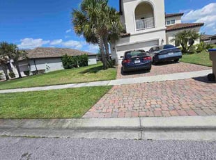Dario C.'s lawn care services service result