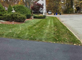 Retda b.'s grass maintenance service result