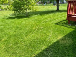 Yolande M.'s lawn care service result