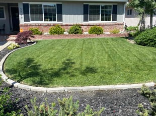 Freddy G.'s grass cutting service result