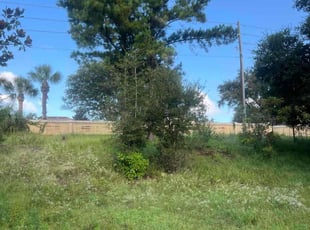 Darcie P.'s Landscaping service result