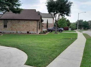 Kayla T.'s lawn maintenance service result