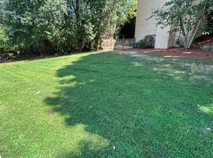 Fred E.'s lawn care service result