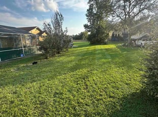 Melonie H.'s lawn maintenance service result