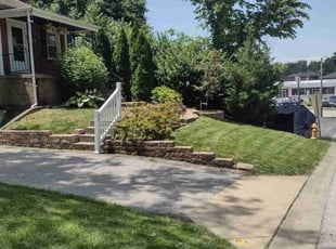 Johanna M.'s turf care service result