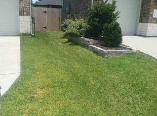 Carey V.'s turf maintenance service result