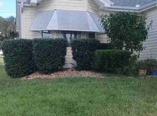 Sandy G.'s Bush Trimming service result