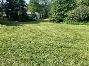 Poonam H.'s Long Grass Cleanup service result
