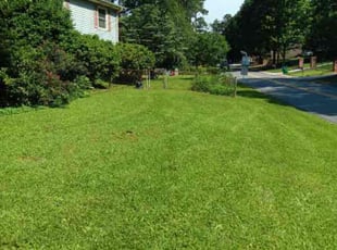Shane B.'s turf care service result