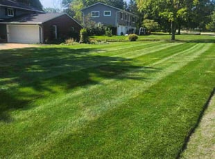 Sasha W.'s turf care service result