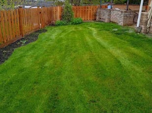 Alberto P.'s lawn care services service result