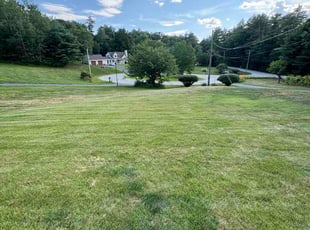 Kelly J.'s lawn maintenance service result