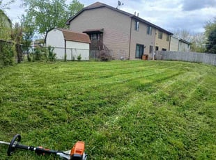 Jeff W.'s Long Grass Cleanup service result