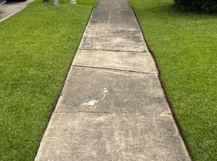 Vickie S.'s turf maintenance service result