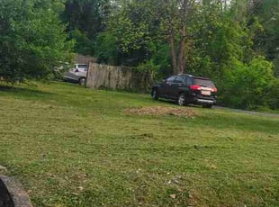 Danny G.'s lawn care services service result