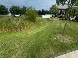 Rick W.'s lawn maintenance service result