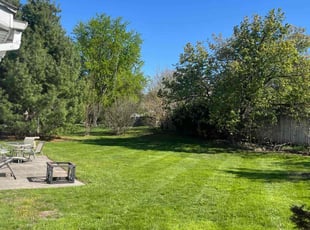 Lexon A.'s grass maintenance service result