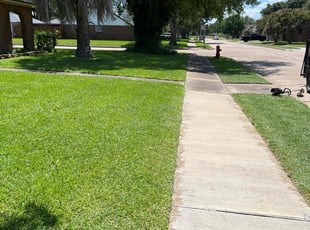 John L.'s lawn care services service result