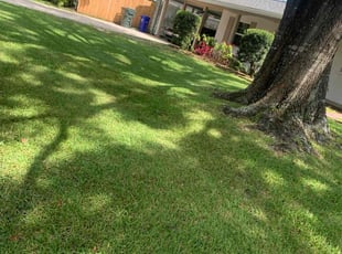 Devaughn N.'s turf maintenance service result
