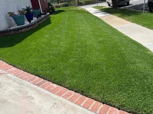 Kristi B.'s turf care service result