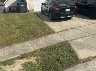 Courtney N.'s lawn care service result