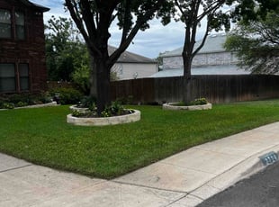 Taiwo B.'s turf care service result