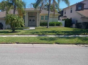 Mark H.'s grass cutting service result