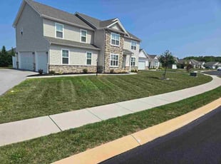 Stephanie T.'s grass maintenance service result