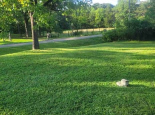 Amanda z.'s grass cutting service result