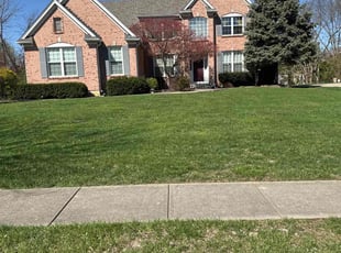 Kumar N.'s grass cutting service result
