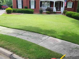 Gabriel R.'s lawn care services service result