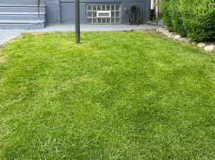 David D.'s yard maintenance service result