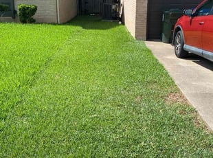 Lisa V.'s lawn service service result