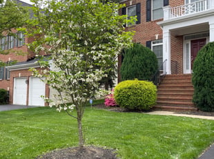 Robert K.'s turf care service result