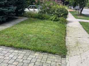 Theresa C.'s grass cutting service result
