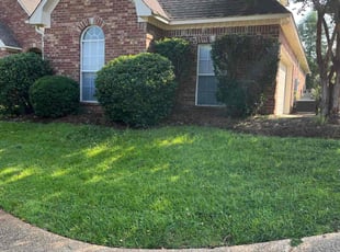 Derrick W.'s Bush Trimming service result