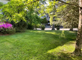 Gais C.'s grass maintenance service result