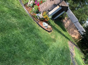 Mike M.'s turf maintenance service result