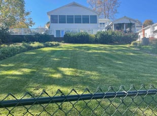 Steven D.'s grass maintenance service result