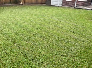 John S.'s lawn maintenance service result