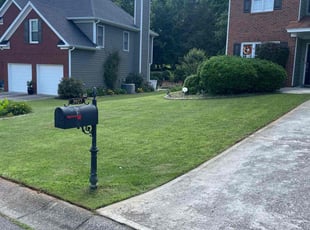 Annette A.'s grass maintenance service result