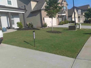 Luis C.'s grass maintenance service result