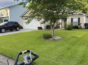 Etta P.'s yard maintenance service result