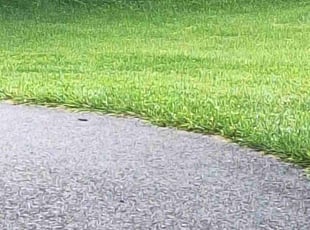 Christopher H.'s grass cutting service result