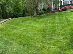 Robert&Sue d.'s turf maintenance service result