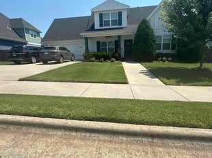 Joselyn I.'s lawn care services service result