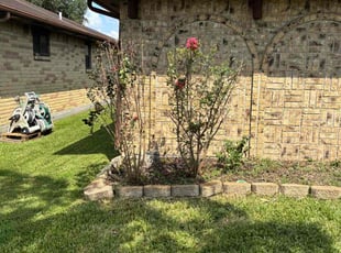 Rocco M.'s Bush Trimming service result