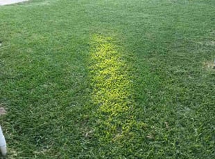 James R.'s lawn care services service result